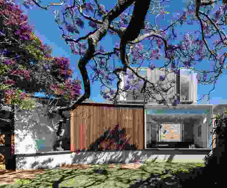 Jac House (2017) celebrates the seasons in a love letter to a jacaranda tree.