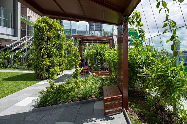 healing gardens: hospital design using nature to heal and