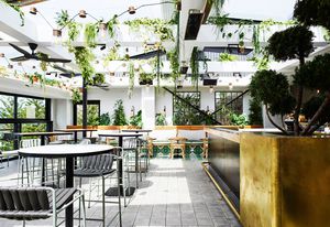 Manly Greenhouse by Luchetti Krelle.