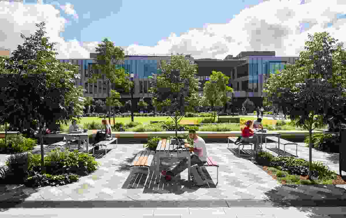 Macquarie University Central Courtyard Precinct by Aspect Studios and Architectus.
