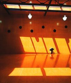 Chunky Move studio, clad in orange-stained plywood.