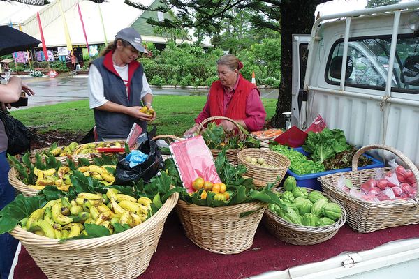 Farmers’ markets bring healthier food to where people live, which improves the likelihood of healthy eating habits. 